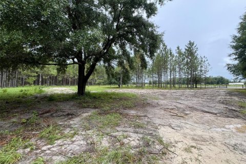 Terreno en venta en Branford, Florida № 1815066 - foto 9