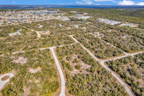 Land in Port Charlotte, Florida № 2228589 - photo 21