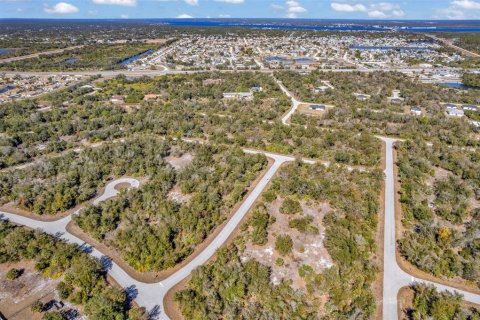 Land in Port Charlotte, Florida № 2228589 - photo 22