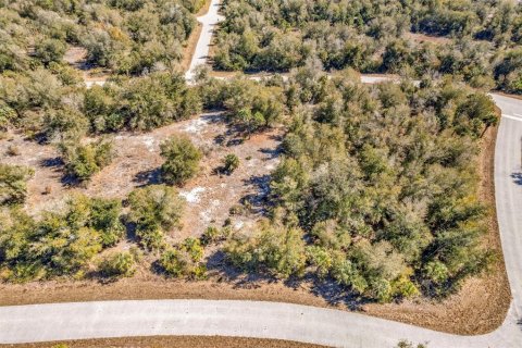 Land in Port Charlotte, Florida № 2228589 - photo 7