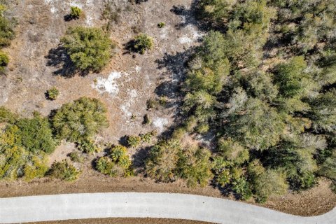 Land in Port Charlotte, Florida № 2228589 - photo 8