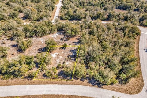 Land in Port Charlotte, Florida № 2228589 - photo 6