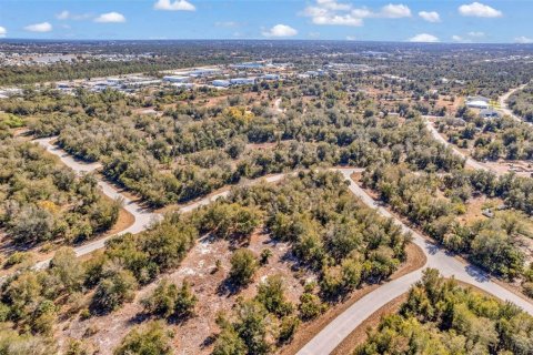 Land in Port Charlotte, Florida № 2228589 - photo 17