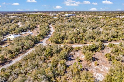 Land in Port Charlotte, Florida № 2228589 - photo 12