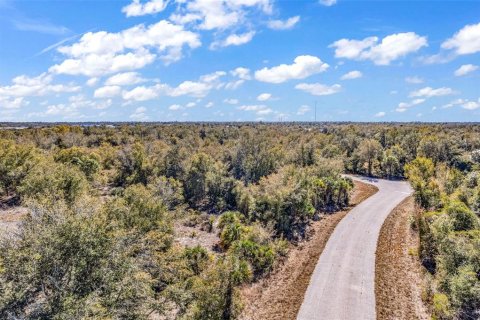 Land in Port Charlotte, Florida № 2228589 - photo 3