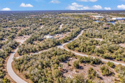 Land in Port Charlotte, Florida № 2228589 - photo 14