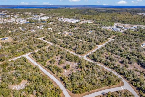 Land in Port Charlotte, Florida № 2228589 - photo 20