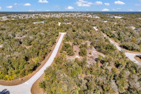 Land in Port Charlotte, Florida № 2228589 - photo 10