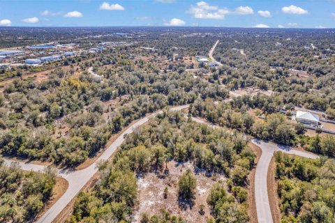 Land in Port Charlotte, Florida № 2228589 - photo 16