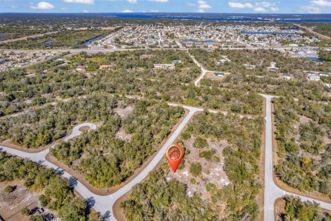 Land in Port Charlotte, Florida № 2228589 - photo 2
