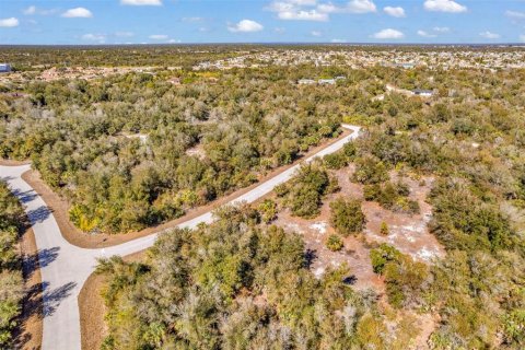 Land in Port Charlotte, Florida № 2228589 - photo 11