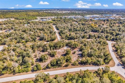 Land in Port Charlotte, Florida № 2228589 - photo 18