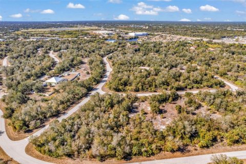 Land in Port Charlotte, Florida № 2228589 - photo 13