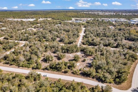 Land in Port Charlotte, Florida № 2228589 - photo 19