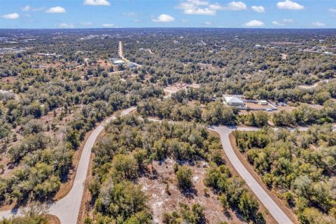 Land in Port Charlotte, Florida № 2228589 - photo 15