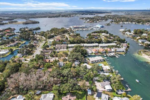 Casa en venta en Crystal River, Florida, 2 dormitorios, 167.04 m2 № 1826956 - foto 7