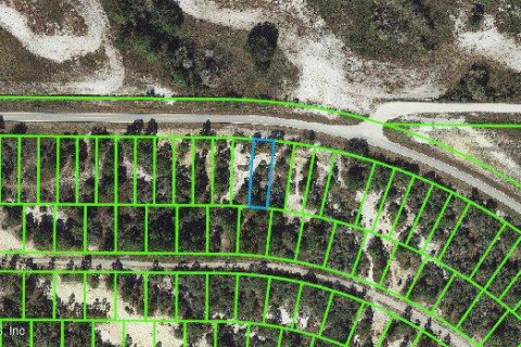 Land in Lake Placid, Florida № 2234967