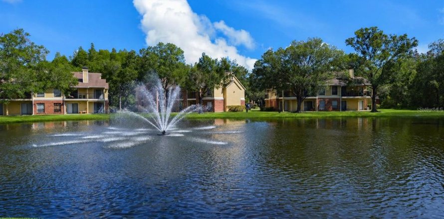 Condo à Tampa, Floride, 2 chambres  № 2112938
