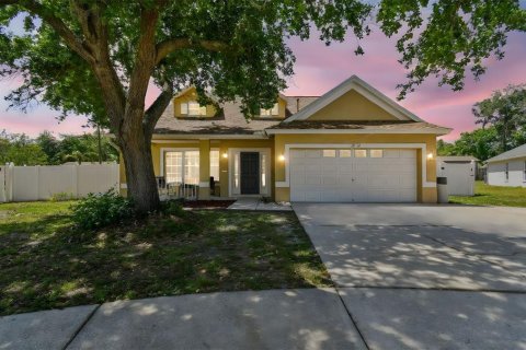 House in Lutz, Florida 5 bedrooms, 188.31 sq.m. № 1720630 - photo 1