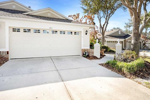 Villa ou maison à Fish Hawk, Floride 3 chambres, 159.79 m2 № 2347357
