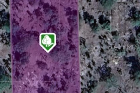 Land in Hawthorne, Florida № 2160300