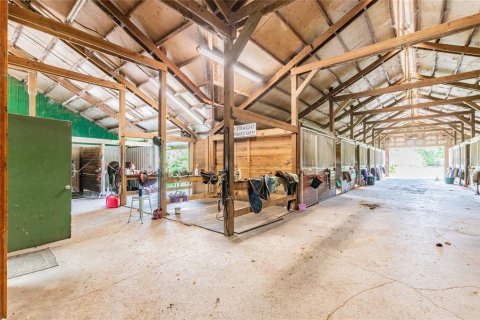 Villa ou maison à vendre à Tarpon Springs, Floride: 4 chambres, 362.32 m2 № 1520004 - photo 4