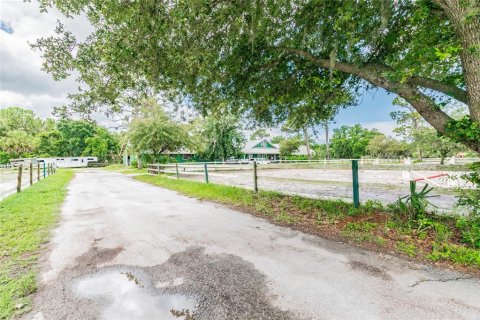 Villa ou maison à vendre à Tarpon Springs, Floride: 4 chambres, 362.32 m2 № 1520004 - photo 12