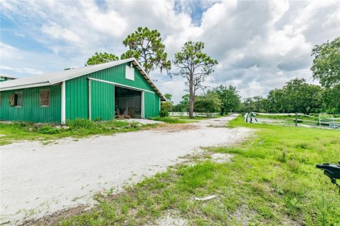 Villa ou maison à vendre à Tarpon Springs, Floride: 4 chambres, 362.32 m2 № 1520004 - photo 2