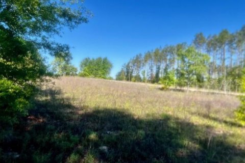 Terreno en venta en Branford, Florida № 1636353 - foto 9