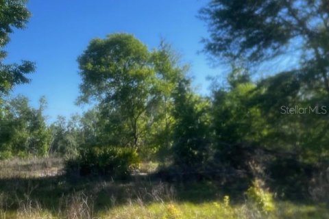 Terreno en venta en Branford, Florida № 1636353 - foto 4