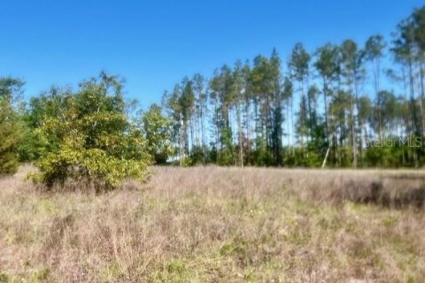 Terreno en venta en Branford, Florida № 1636353 - foto 5