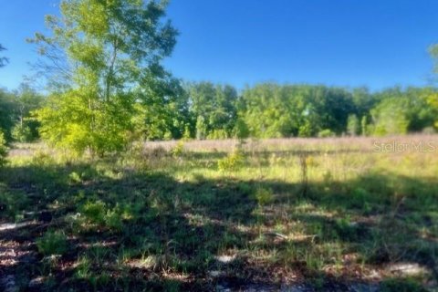Terreno en venta en Branford, Florida № 1636353 - foto 10