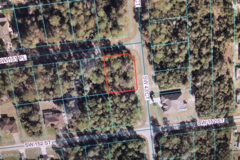 Land in Ocala, Florida № 2214430 - photo 2