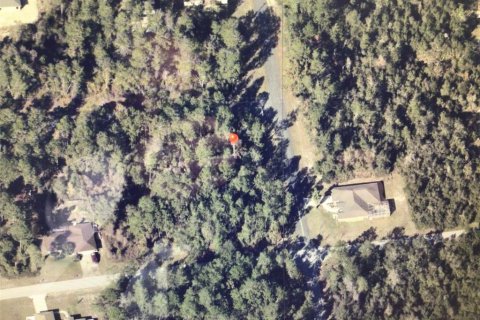 Land in Ocala, Florida № 2214430 - photo 5