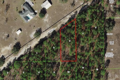 Land in Dunnellon, Florida № 2158776 - photo 2