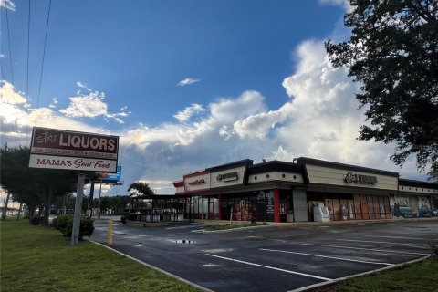 Commercial property in Brandon, Florida 11750.09 sq.m. № 1900620 - photo 5
