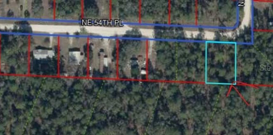 Terrain à Williston, Floride № 2217808