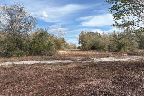 Immobilier commercial à vendre à Okeechobee, Floride № 2390156 - photo 2