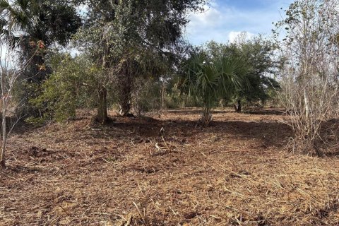 Immobilier commercial à Okeechobee, Floride № 2390156