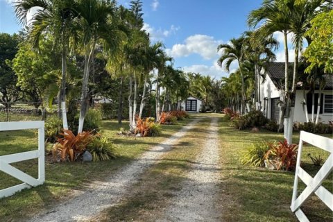 Immobilier commercial à louer à Miami, Floride: 25.08 m2 № 2012019 - photo 11