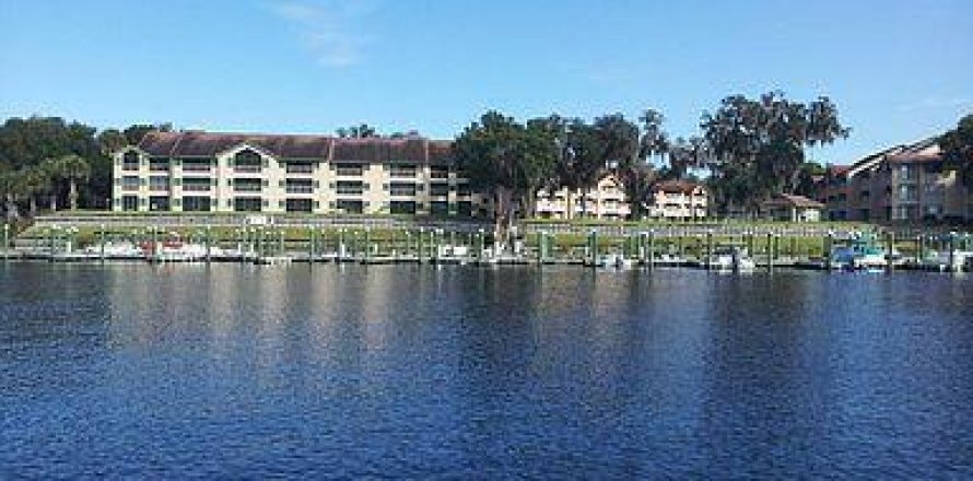 Condo à Welaka, Floride, 2 chambres № 882096