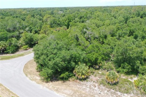 Land in North Port, Florida № 2159737 - photo 3