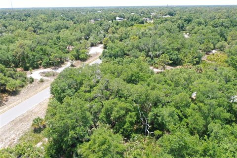Land in North Port, Florida № 2159737 - photo 4
