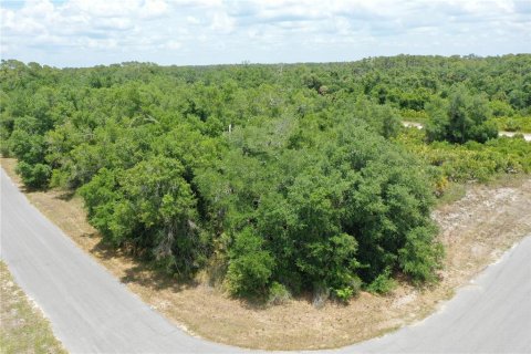 Land in North Port, Florida № 2159737 - photo 15