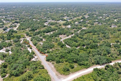 Land in North Port, Florida № 2159737 - photo 7