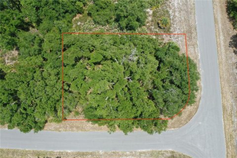 Land in North Port, Florida № 2159737 - photo 2