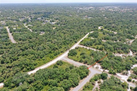 Land in North Port, Florida № 2159737 - photo 11