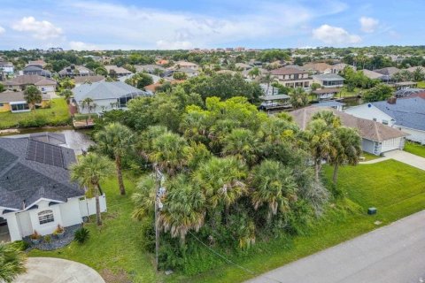 Terreno en venta en Palm Coast, Florida № 2196724 - foto 12