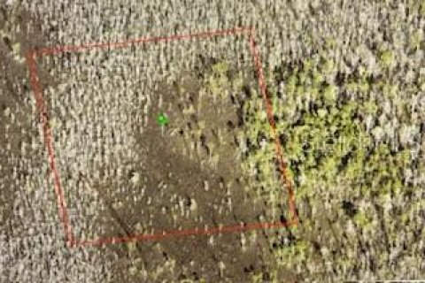 Land in DeLand, Florida № 2161884 - photo 4