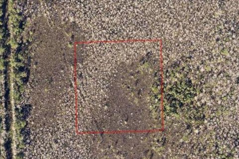 Land in DeLand, Florida № 2161884 - photo 3